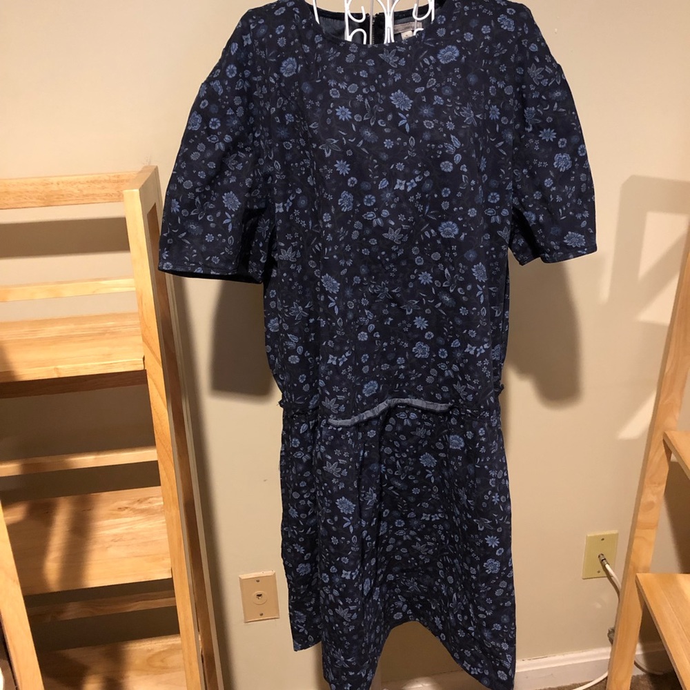 NWT Gap Floral Blue Drop Waist Dress XL